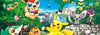 Votre boutique Pokémon coréene