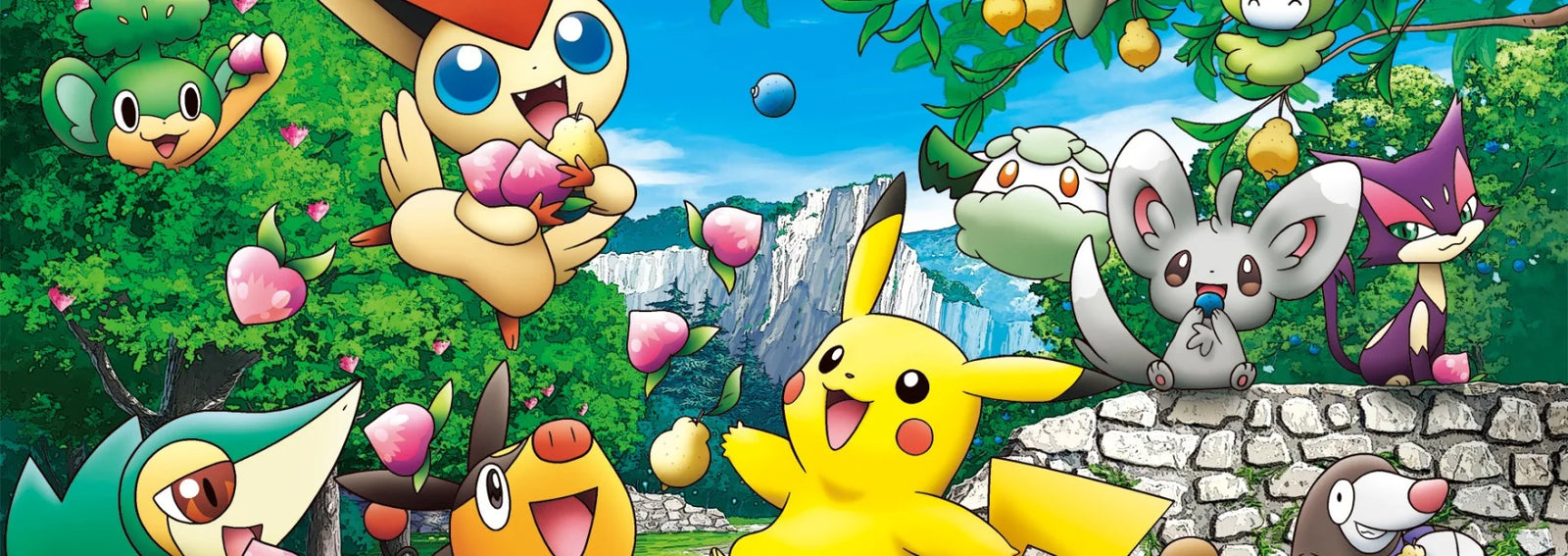 Votre boutique Pokémon coréenne
